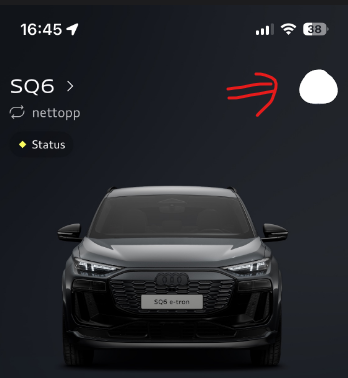 Profilikonet i myAudi-appen